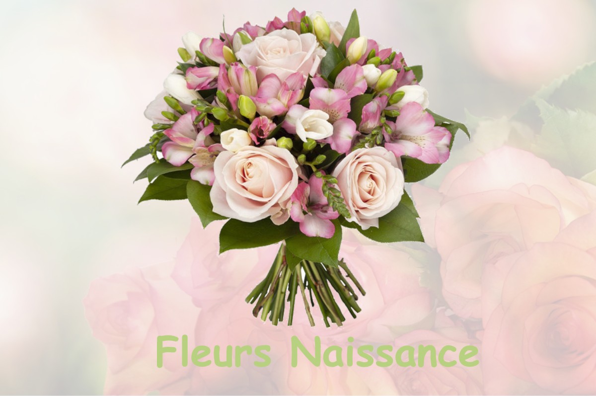fleurs naissance SAINT-PIERRE-LA-GARENNE